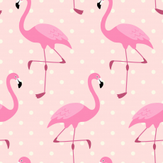 Webware Flamingo rosa