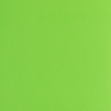 Bastelfilz 3mm, uni kiwi grün